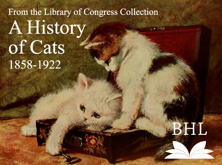 history of cats research paper